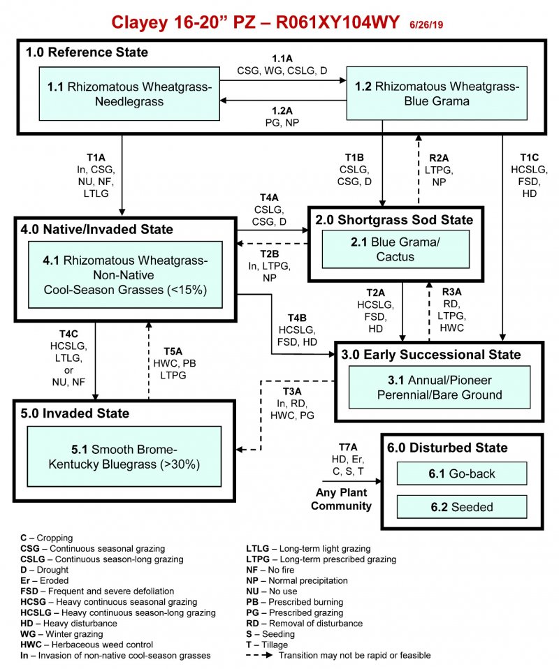 Model diagram