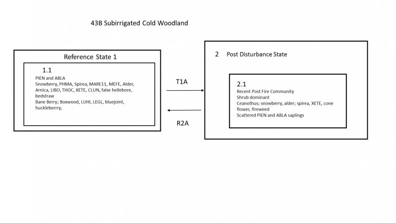 Model diagram