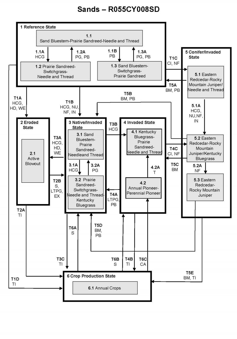 Model diagram