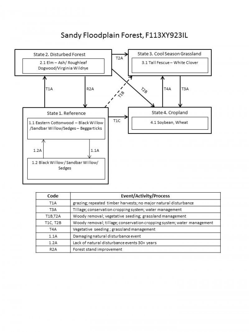 Model diagram