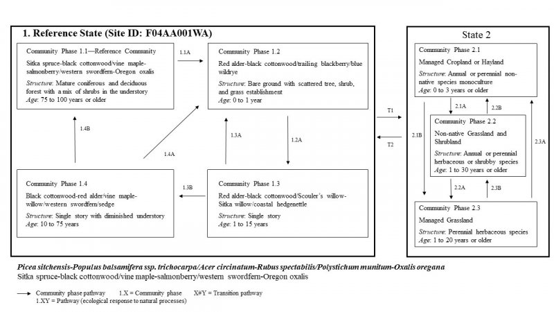 Model diagram