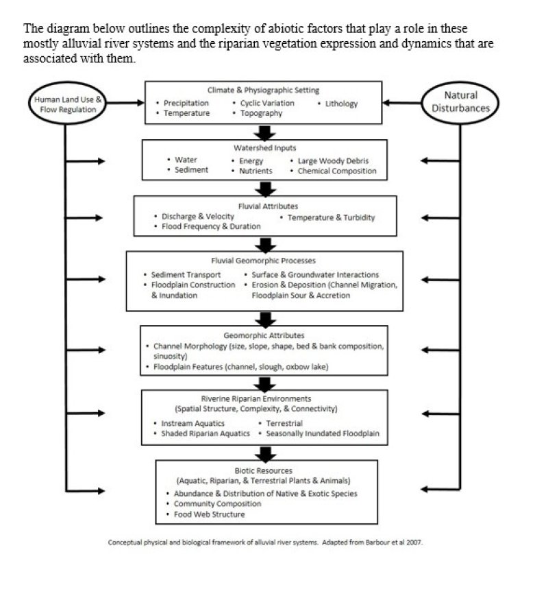 DIAGRAM1 R008XG720WA