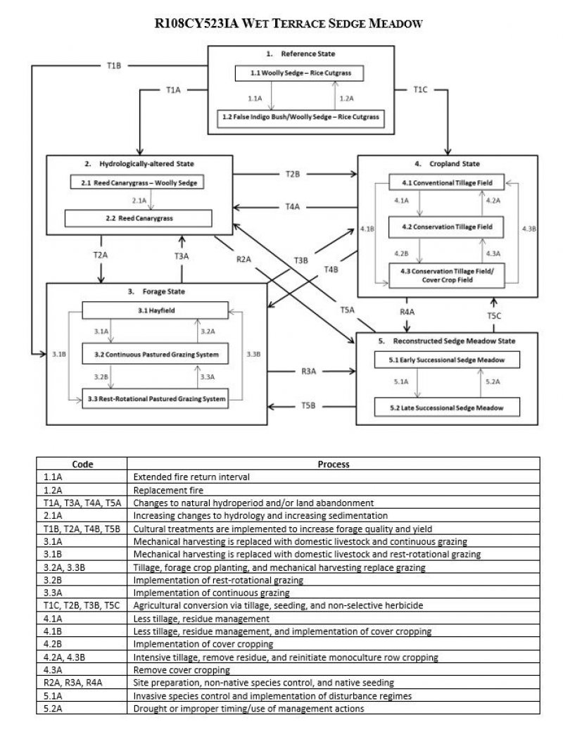 Model diagram