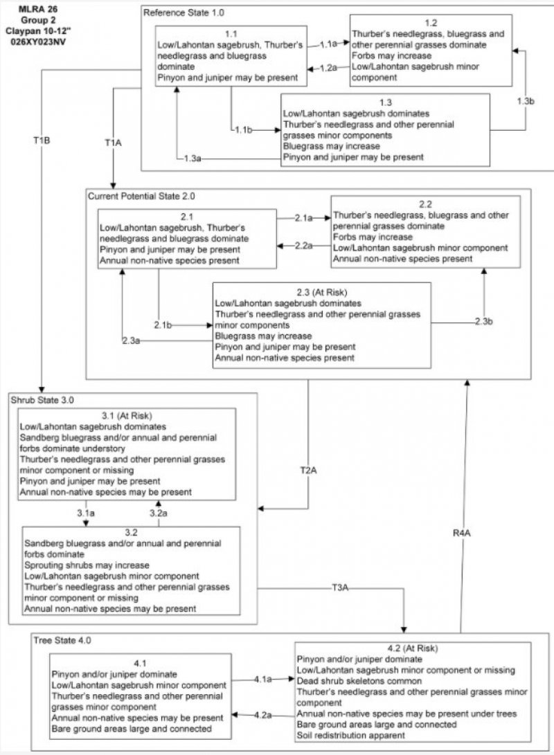 Model diagram