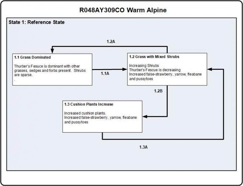 Model diagram