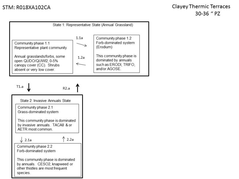Model diagram