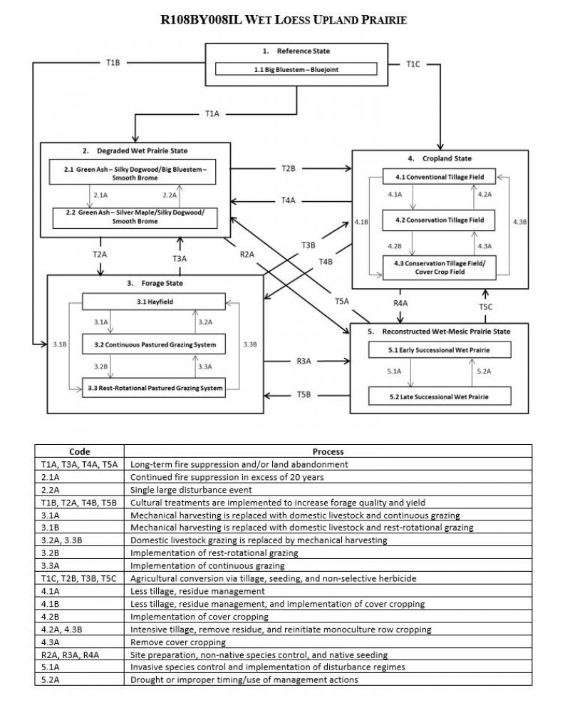 Model diagram