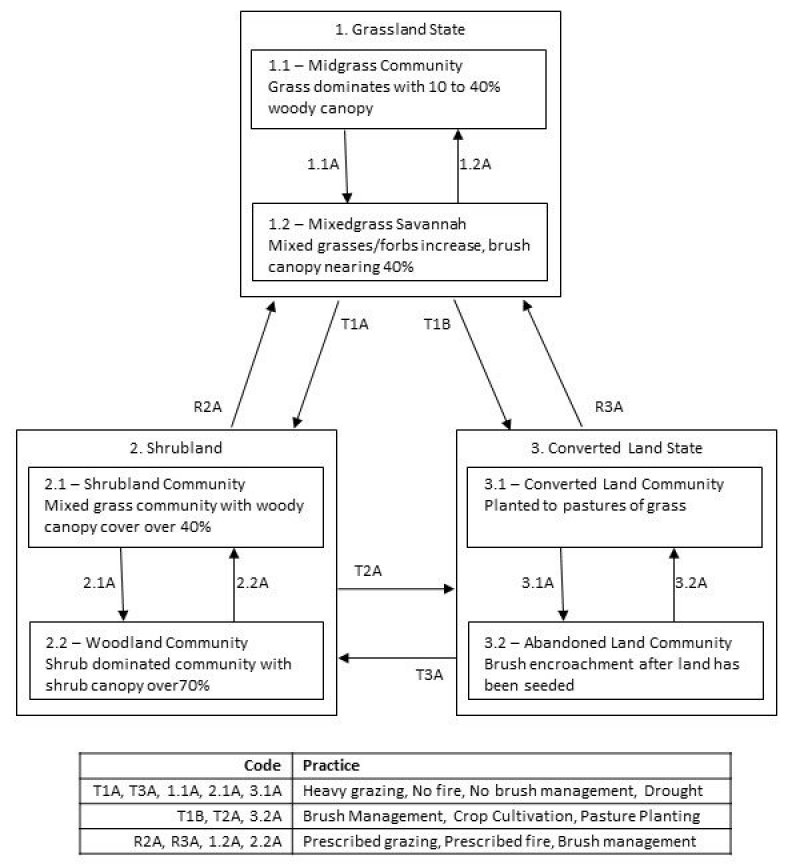 Model diagram