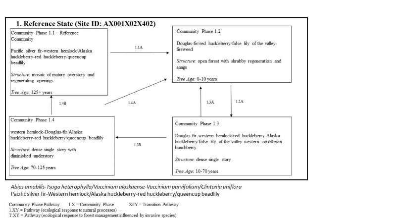 Model diagram