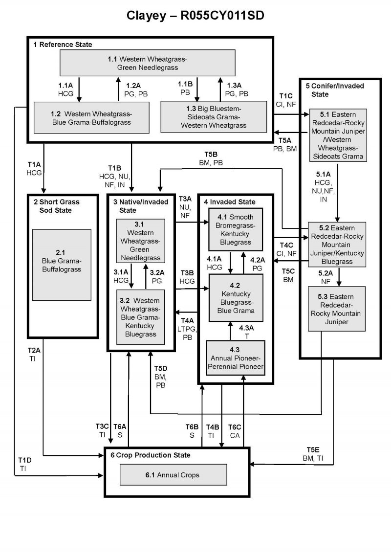Model diagram