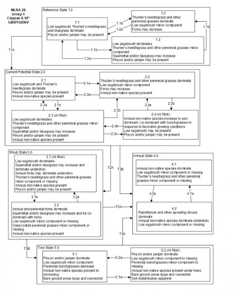 Model diagram