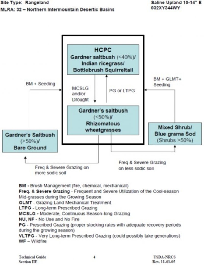Model diagram