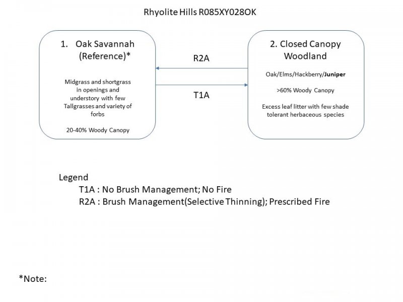 Model diagram