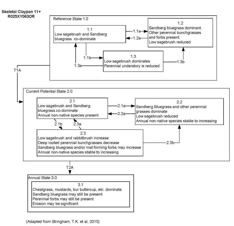 Model diagram