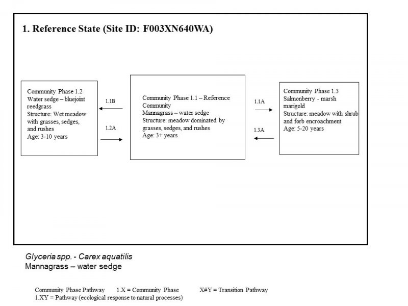 Model diagram
