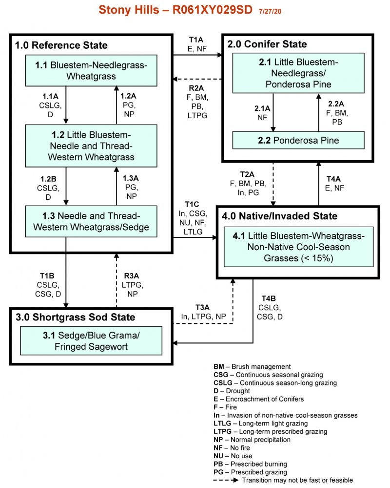 Model diagram