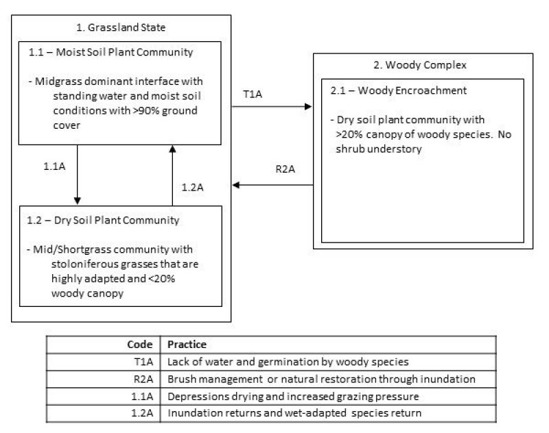 Model diagram
