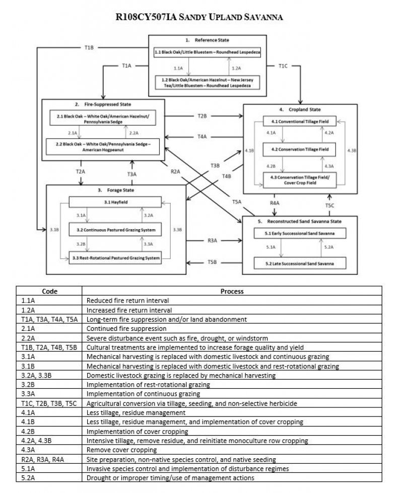 Model diagram