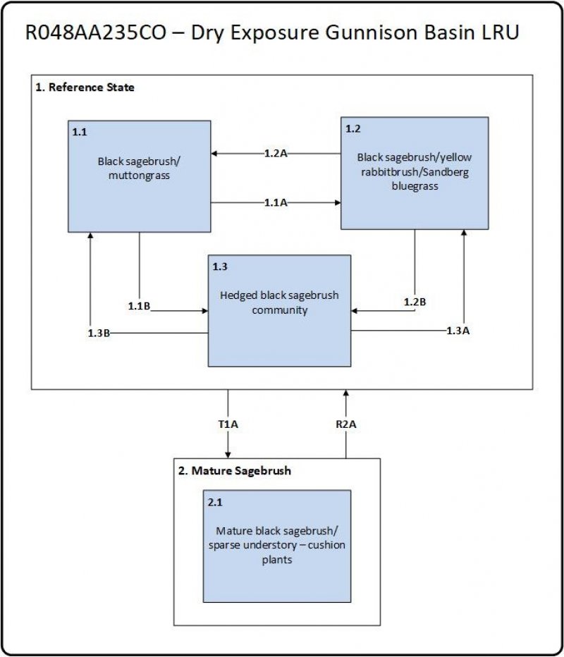 Model diagram