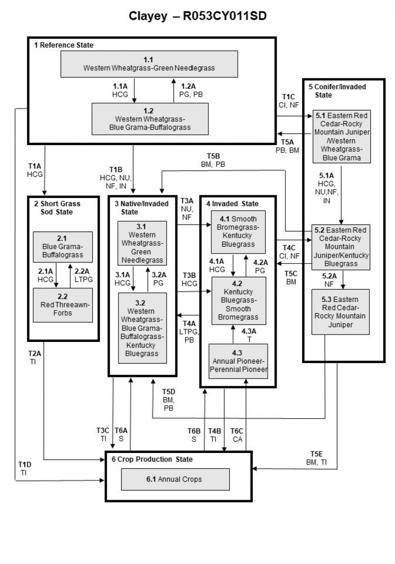 Model diagram
