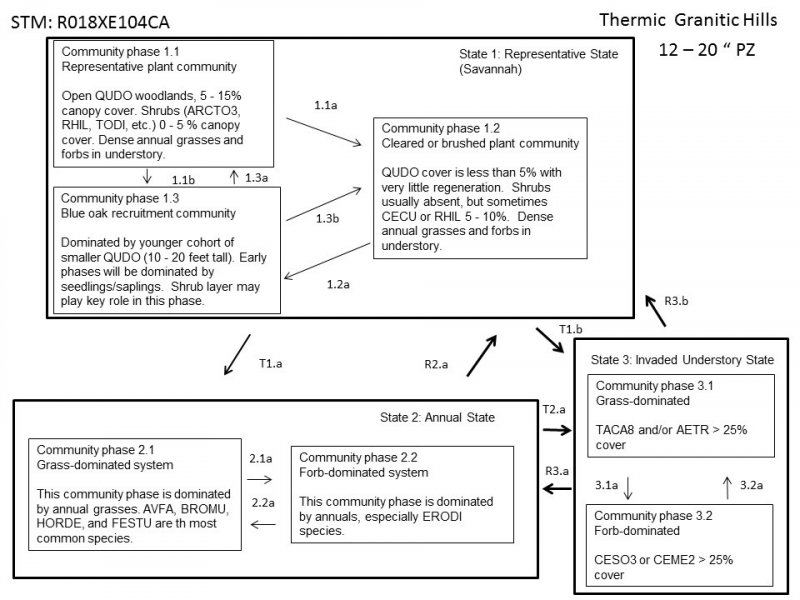 Model diagram