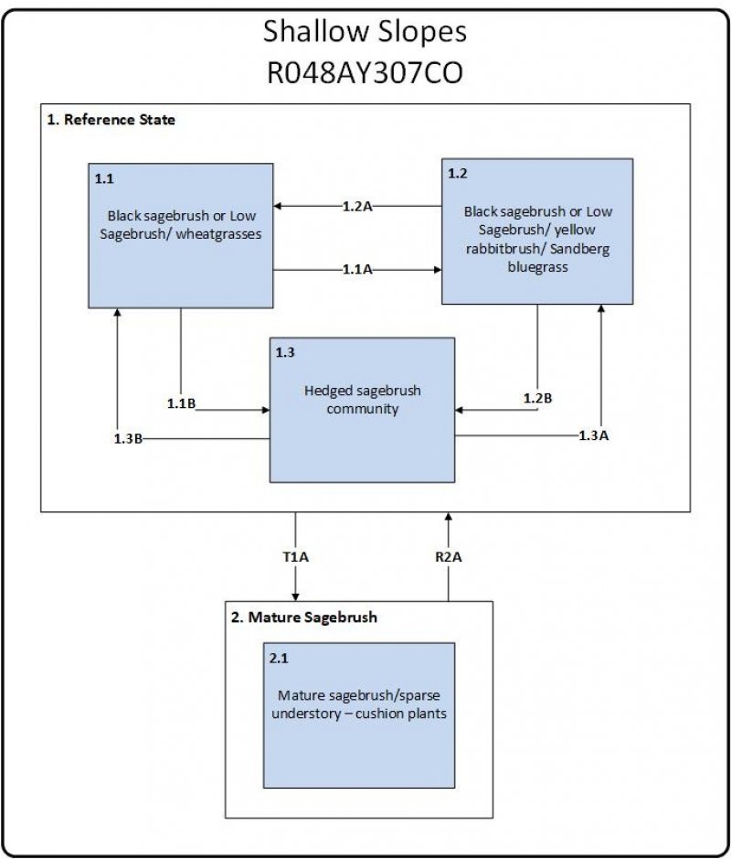 Model diagram
