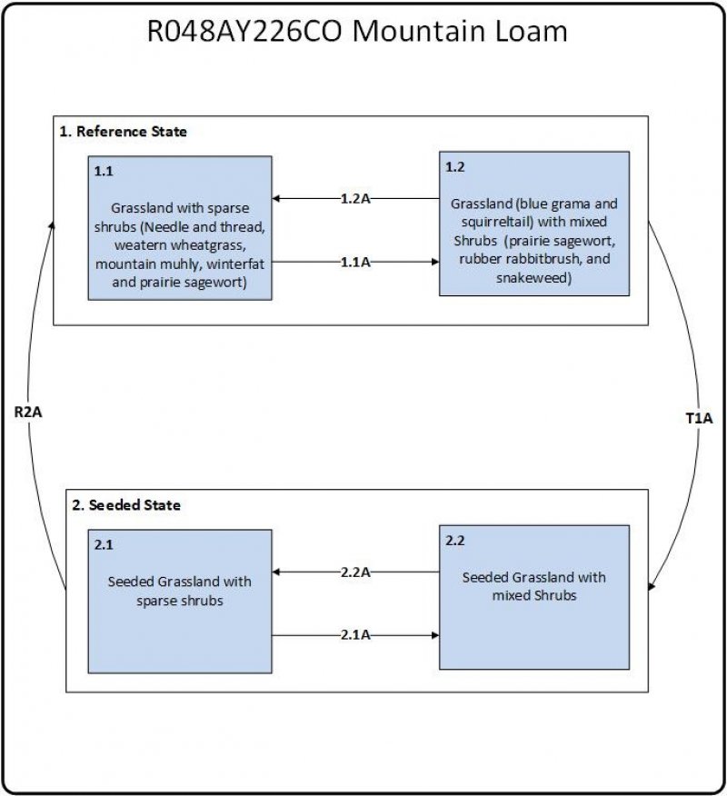Model diagram