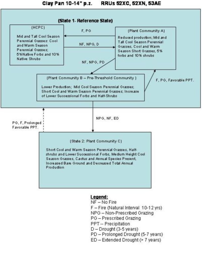 Model diagram