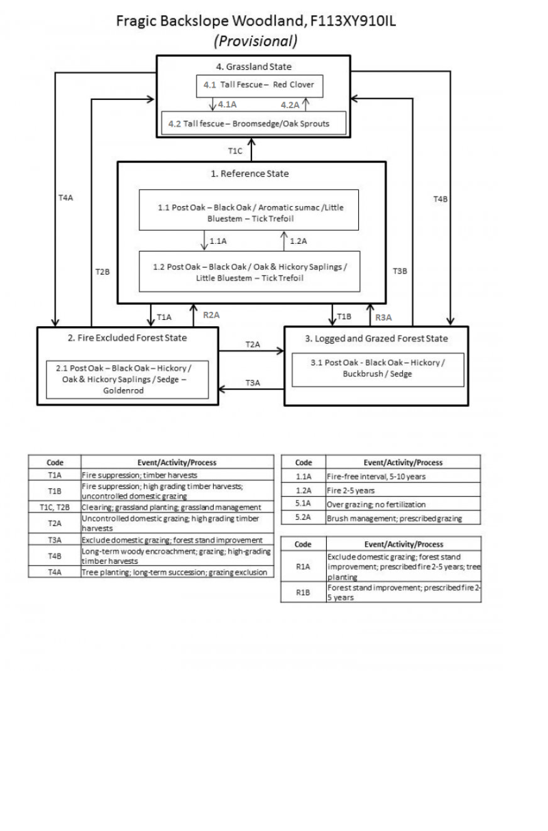 Model diagram