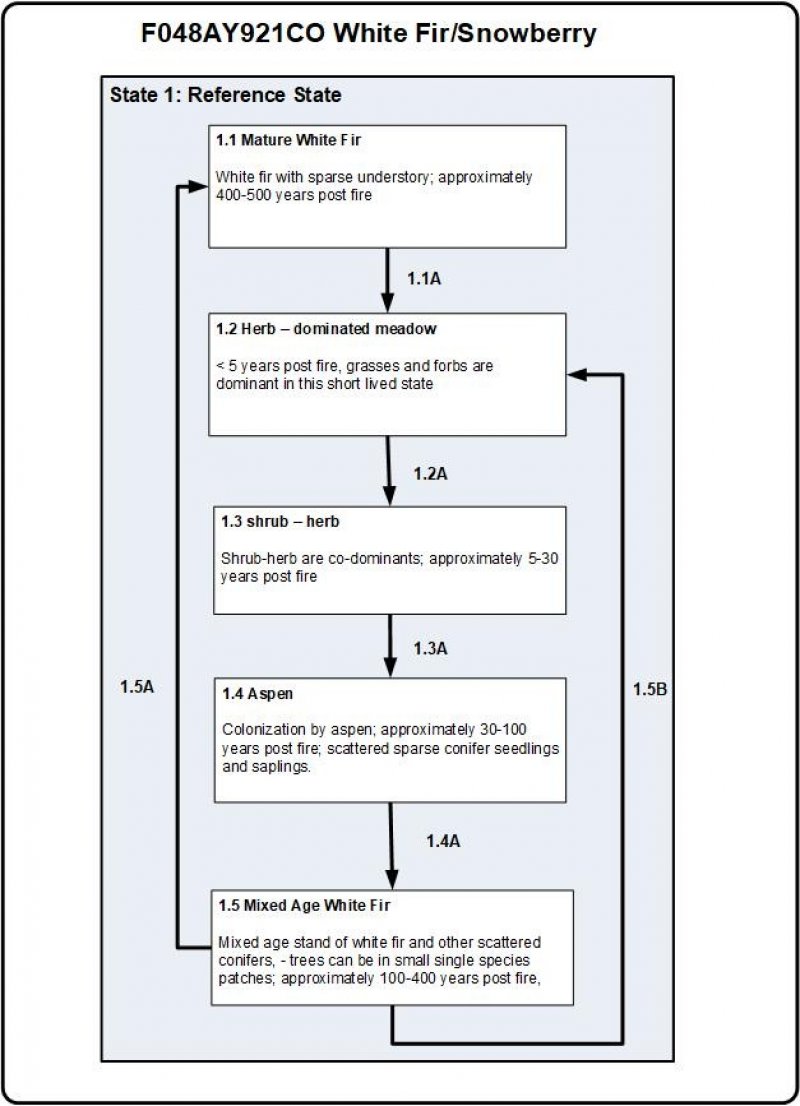 Model diagram