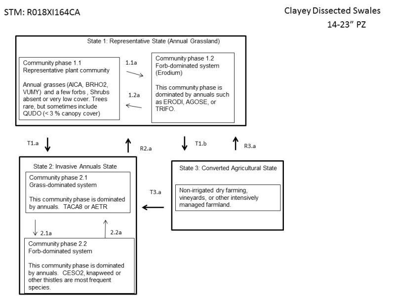 Model diagram