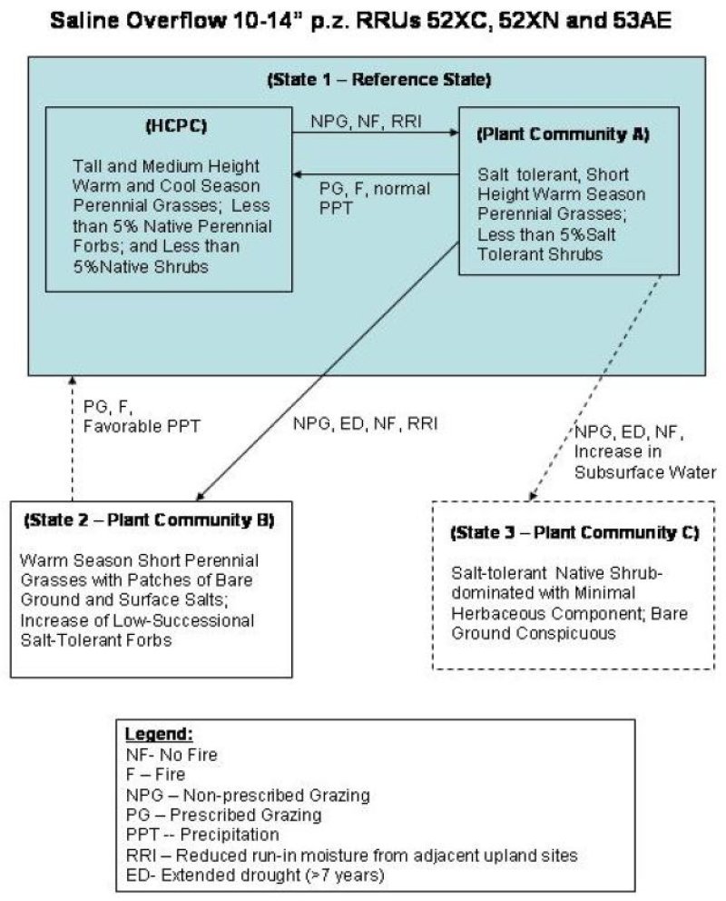 Model diagram