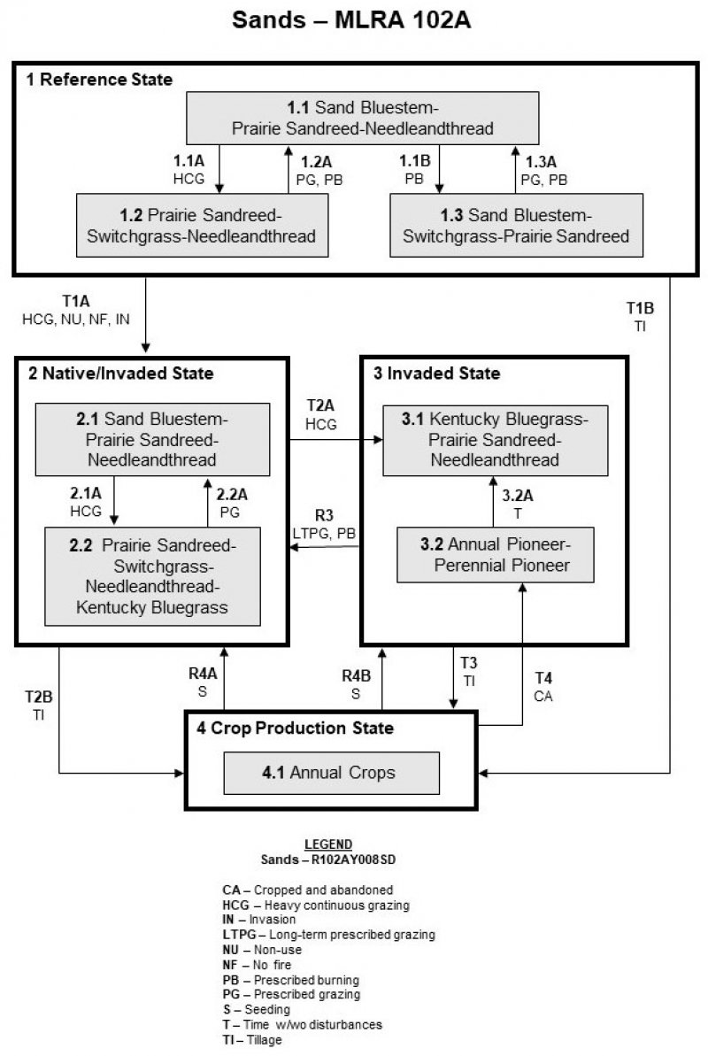 Model diagram