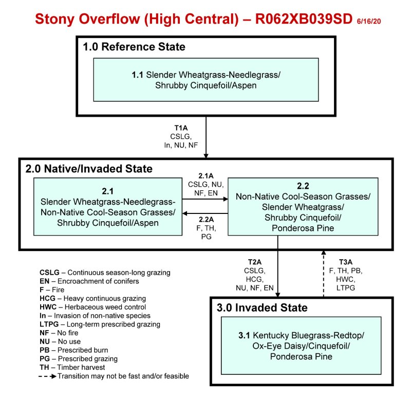 Model diagram