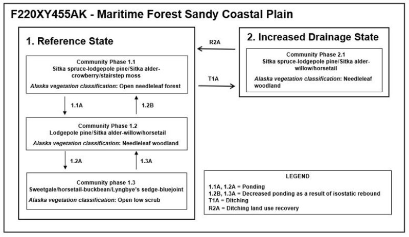 Model diagram
