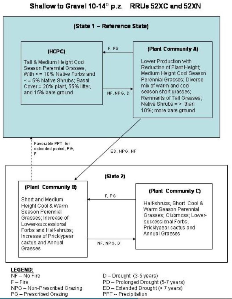 Model diagram