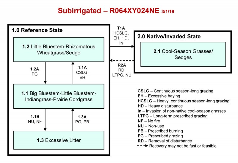 Model diagram