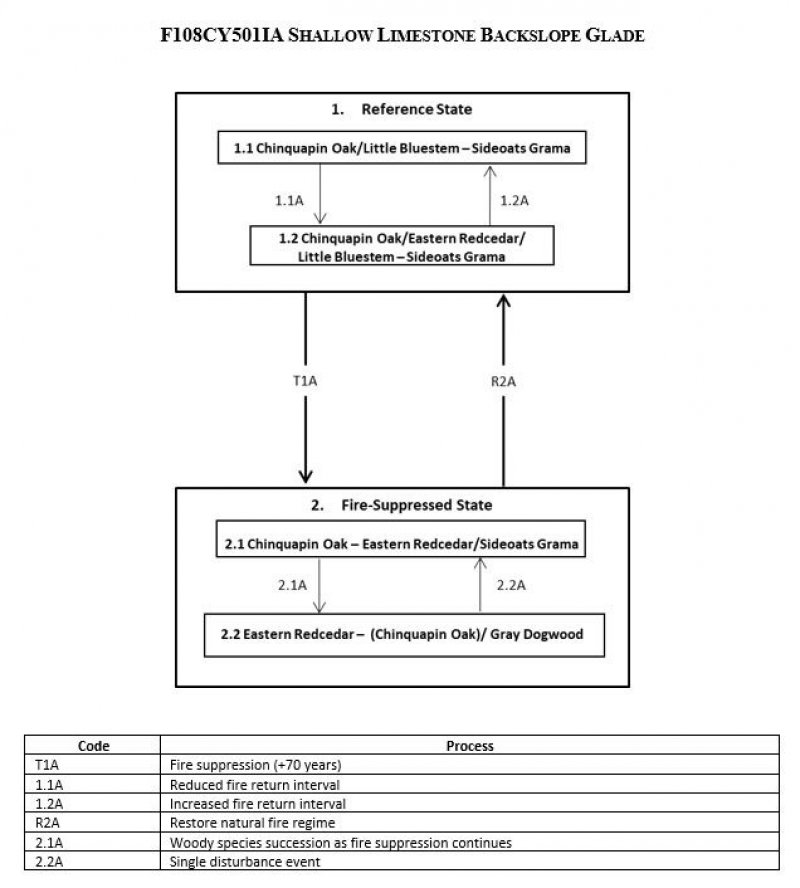 Model diagram