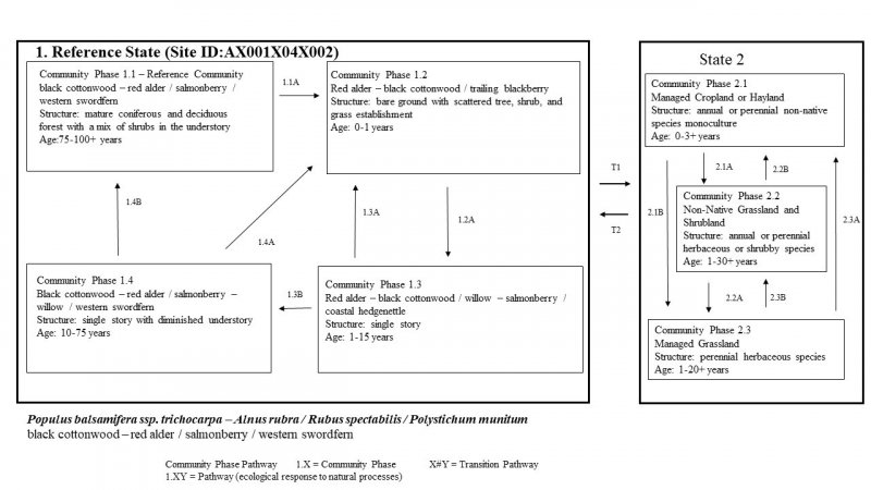 Model diagram
