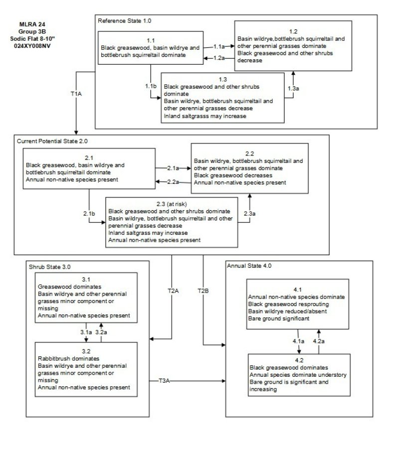 Model diagram