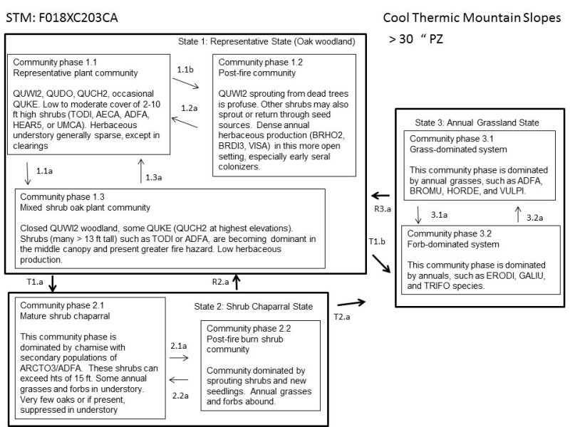 Model diagram