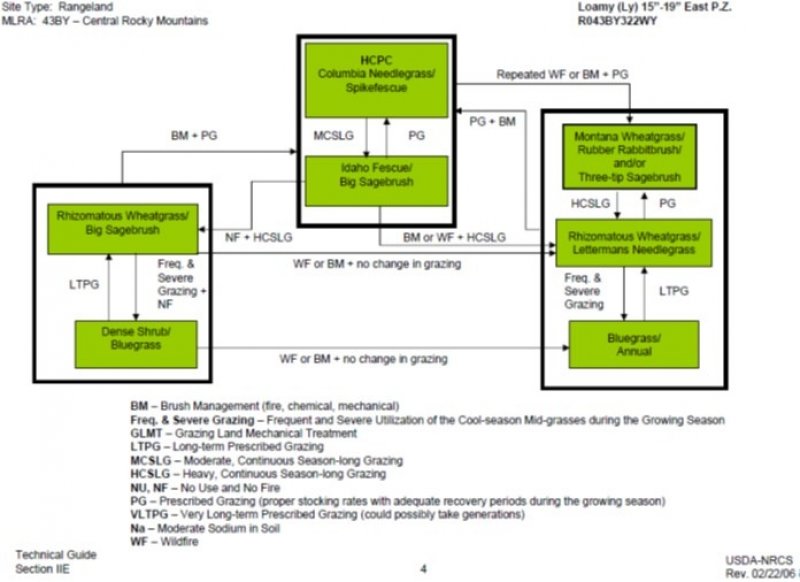 Model diagram
