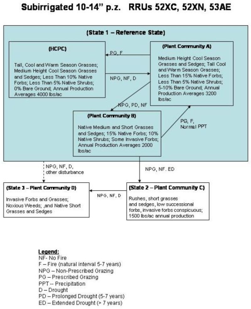 Model diagram