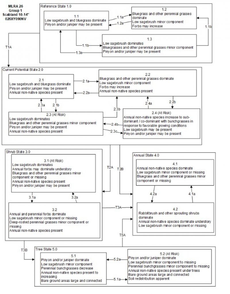 Model diagram
