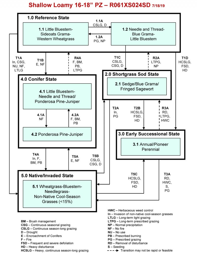Model diagram