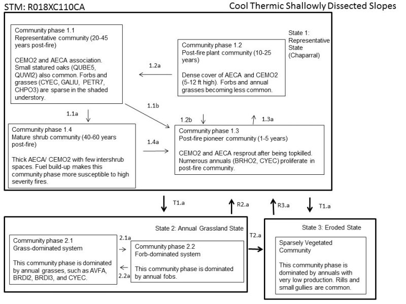 Model diagram