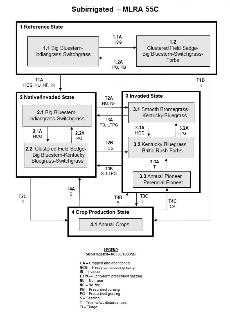 Model diagram