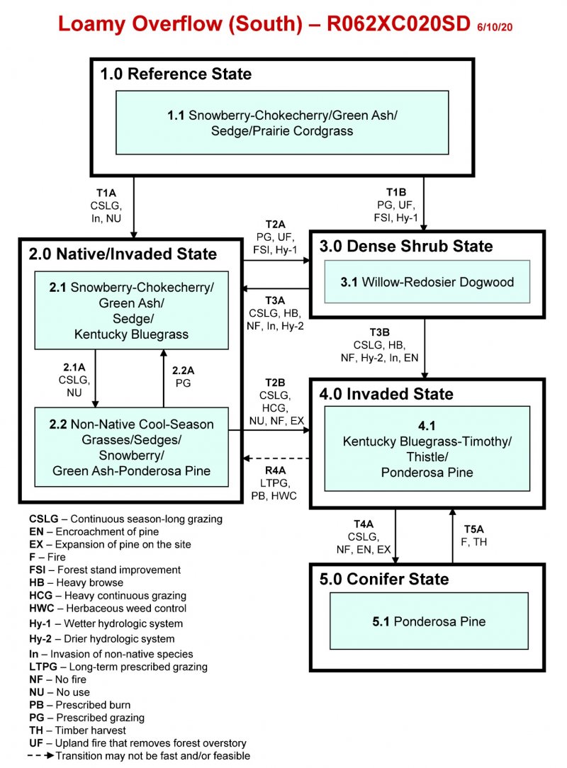 Model diagram