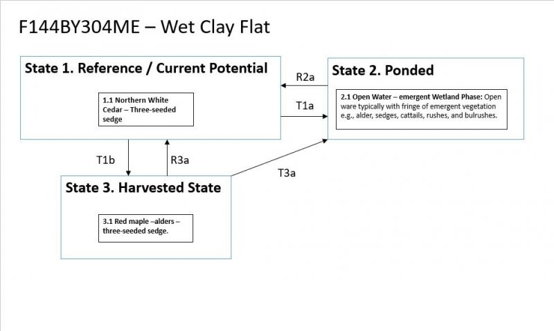 Model diagram