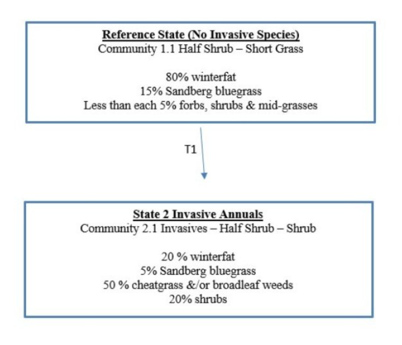Model diagram